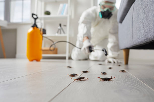 Commercial Rodent Management in Seco Mines